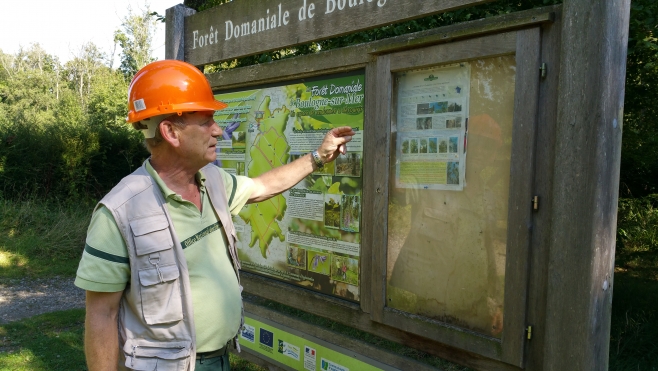 Les forêts de Boulogne, Desvres et Hardelot fermées au public dès le 15 Septembre !