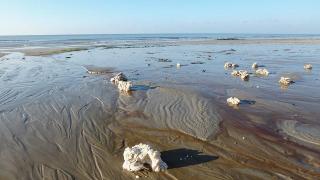 Des tonnes de paraffine échouées de Berck à Wimereux