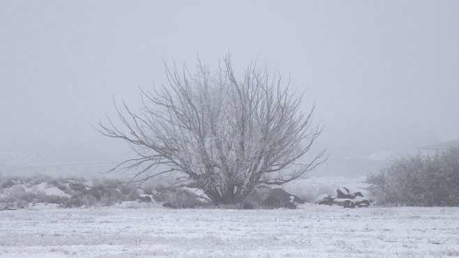 Circulation :attention au brouillard épais et givrant