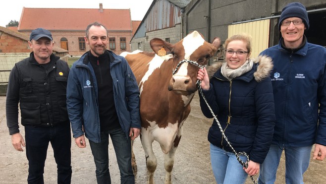 Trois vaches Judy-boy, Huchette et Jolie-Boy s'en vont à Paris !