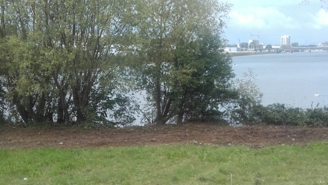 Une quinzaine de nids de canards et oies sauvages détruits lors d’un débroussaillage à Boulogne sur mer !