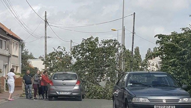 Vent : des dégâts matériels sur la Côte d'Opale