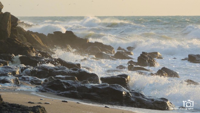 A Equihen-plage, le corps dénudé d'un homme retrouvé sur la plage.