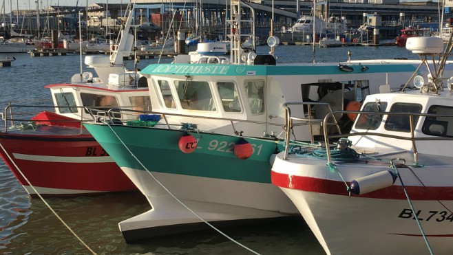 La pêche électrique interdite :  les marins-pêcheurs de la Côte d'Opale soulagés !