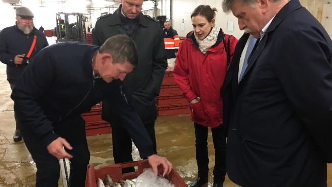 Découverte de la criée à Boulogne sur mer pour le Préfet de Région…