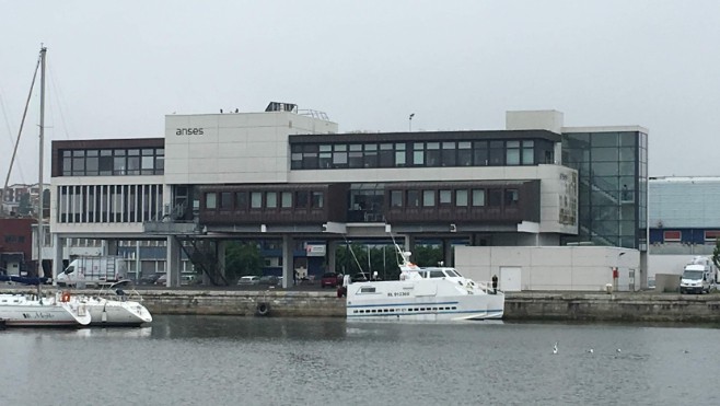 40 chercheurs sont installés à l’ANSES de Boulogne sur mer !