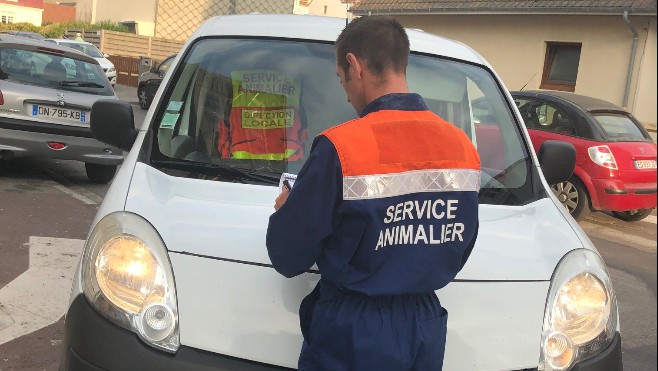 Deux chiens secourus dans une voiture en plein soleil à Wissant