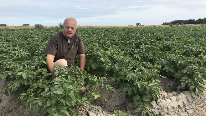 Les agriculteurs de la Côte d’Opale craignent pour leurs récoltes à cause de la sécheresse. 