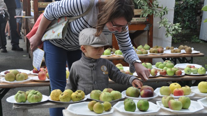 7ième fête de la nature et de la pomme à Nortkerque.