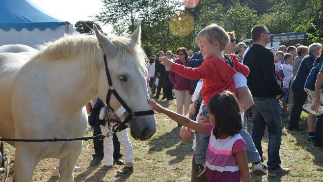 La fête du Parc se déroule dimanche Plaine d’Houlouve à Wimille !