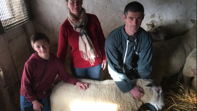 De Quesques, deux béliers boulonnais tentent leur chance au salon de l’agriculture… 