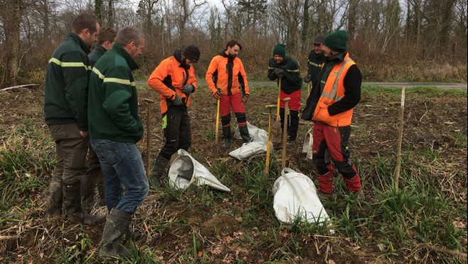 Opération de reforestation en forêt d’Hardelot…