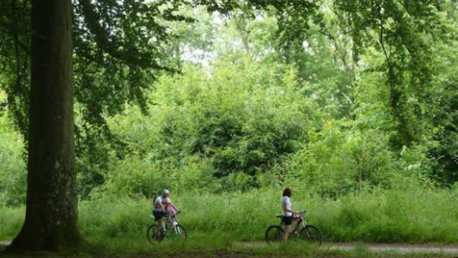 Pas-de-Calais : réouverture des forêts domaniales