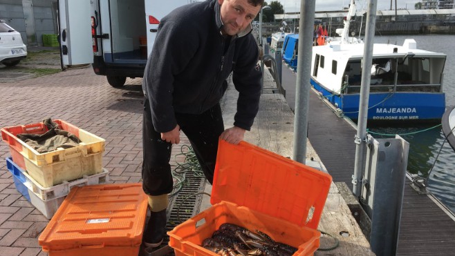 Assistez au retour de pêche des fileyeurs lors d’une balade à pied à Boulogne sur mer.