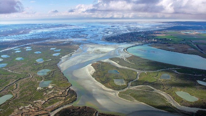 La Baie de Somme devient officiellement un Parc Naturel Régional