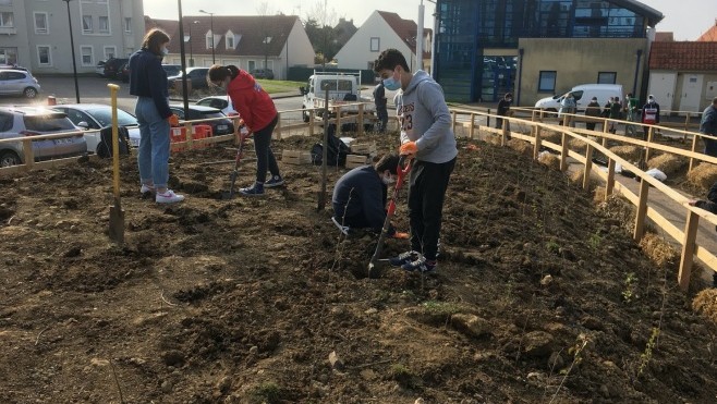 Le premier « îlot de fraîcheur » planté à Saint-Martin-Boulogne.