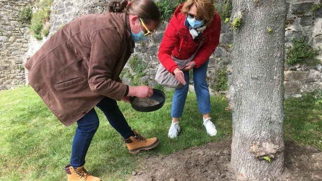 Déjà une soixantaine d'arbres adoptés depuis 2019 à Boulogne !