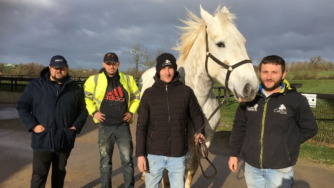 Salon International de l'Agriculture : la maison du cheval boulonnais à Samer compte sur ses éleveurs.