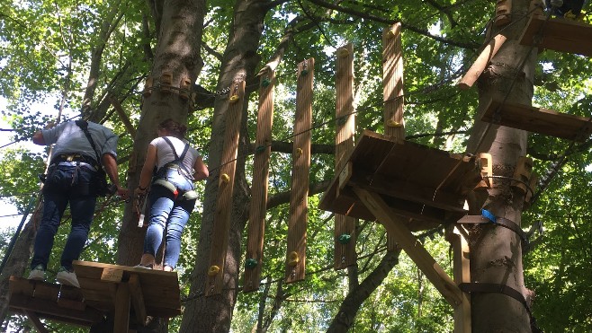 Boulogne : le parcours éco-aventure Acro'Liane rouvre ce samedi !