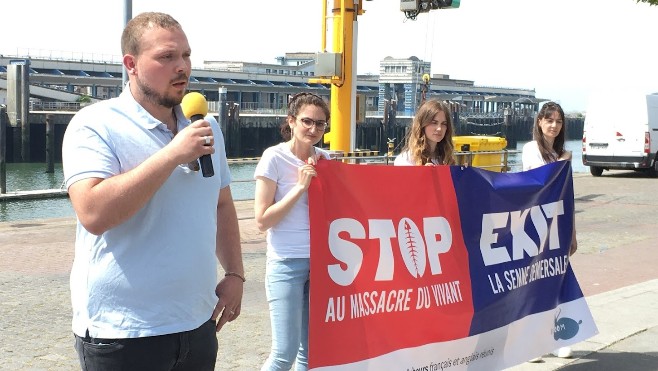 A Boulogne, les marins dénoncent la pêche à la senne danoise en Manche-Mer du Nord. 