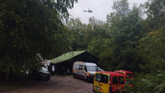 En forêt de Desvres, les recherches pour retrouver Bernard Chaussoy vont reprendre ce dimanche.