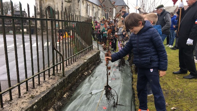 Plus d'un millier d'arbres seront plantés cette année à Neufchâtel-Hardelot.