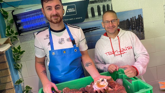 Les premières coquilles Saint Jacques sont arrivées sur les étals 