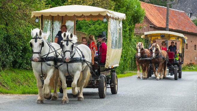 Balades, randonnées thématiques, terroir: que faire cet été dans le Haut Pays d'Opale ?