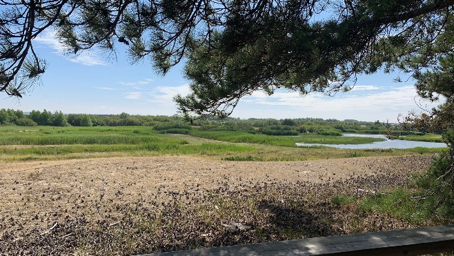 Escapades : direction le Parc du Marquenterre pour une bouffée de nature