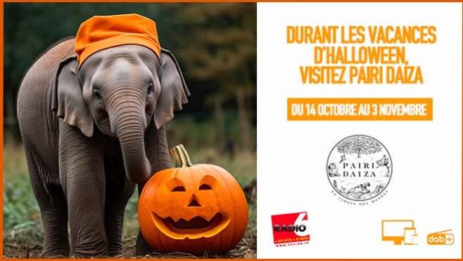 Gagnez vos entrées pour Pairi Daiza