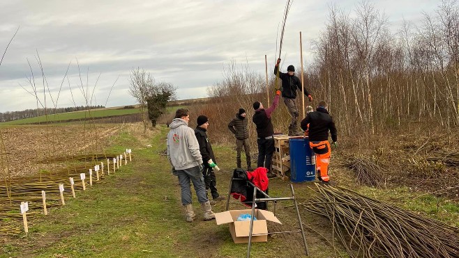 A Le Boisle, la vannerie Candas a réussi le pari de produire son propre osier