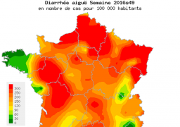 Attention à l’épidémie de gastro-entérite dans les Hauts de France