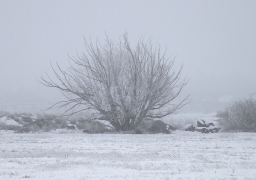 Circulation :attention au brouillard épais et givrant