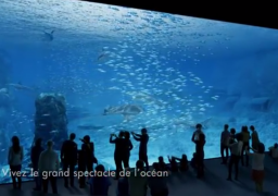 VIDEO : découvrez le futur Grand Nausicaa ! 