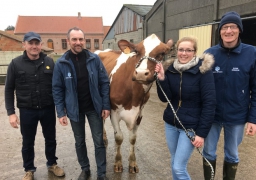 Trois vaches Judy-boy, Huchette et Jolie-Boy s'en vont à Paris !