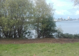 Une quinzaine de nids de canards et oies sauvages détruits lors d’un débroussaillage à Boulogne sur mer !