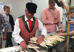 Série gourmande: à la découverte de l'asperge des sables à Ghyvelde