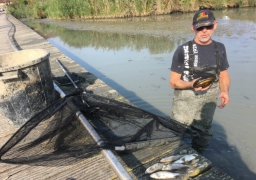 A Wimereux, les habitants décident de sauver eux-mêmes les poissons d’une mare !