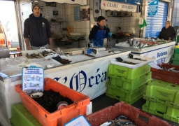 A Boulogne sur mer, le hareng côtier est arrivé !