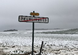 Neige : 55 000 foyers privés d'électricité dans la région