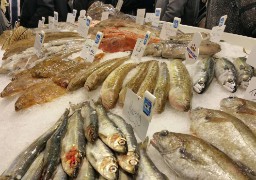 250kg de poissons avariés découverts lors d’un vaste contrôle à Capécure !