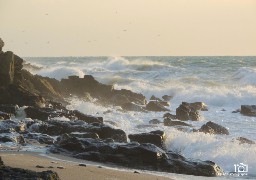 A Equihen-plage, le corps dénudé d'un homme retrouvé sur la plage.