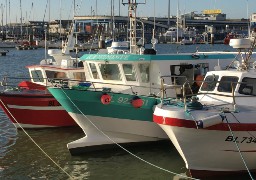 La pêche électrique interdite :  les marins-pêcheurs de la Côte d'Opale soulagés !