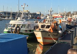 Les marins-pêcheurs gagnent une importante victoire européenne contre la pêche électrique !