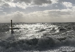 Tempête : 136km/h au Cap Gris-Nez, 5000 foyers privés d'électricité.