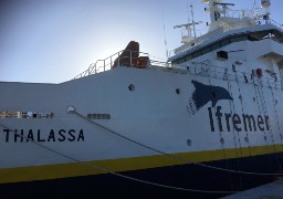 Pêche : les scientifiques enregistrent une forte évolution du Sprat en Mer du Nord !