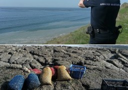 Boulogne : sept personnes verbalisées pour ramassage illicite de moules