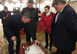 Découverte de la criée à Boulogne sur mer pour le Préfet de Région…