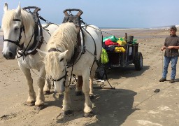 Une tonne de déchets sur la plage de Dannes !