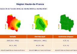 La varicelle sévit en Hauts de France !